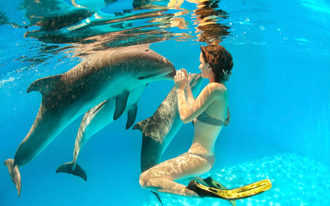 Destination Wedding Excursion Ideas in the Dominican Republic