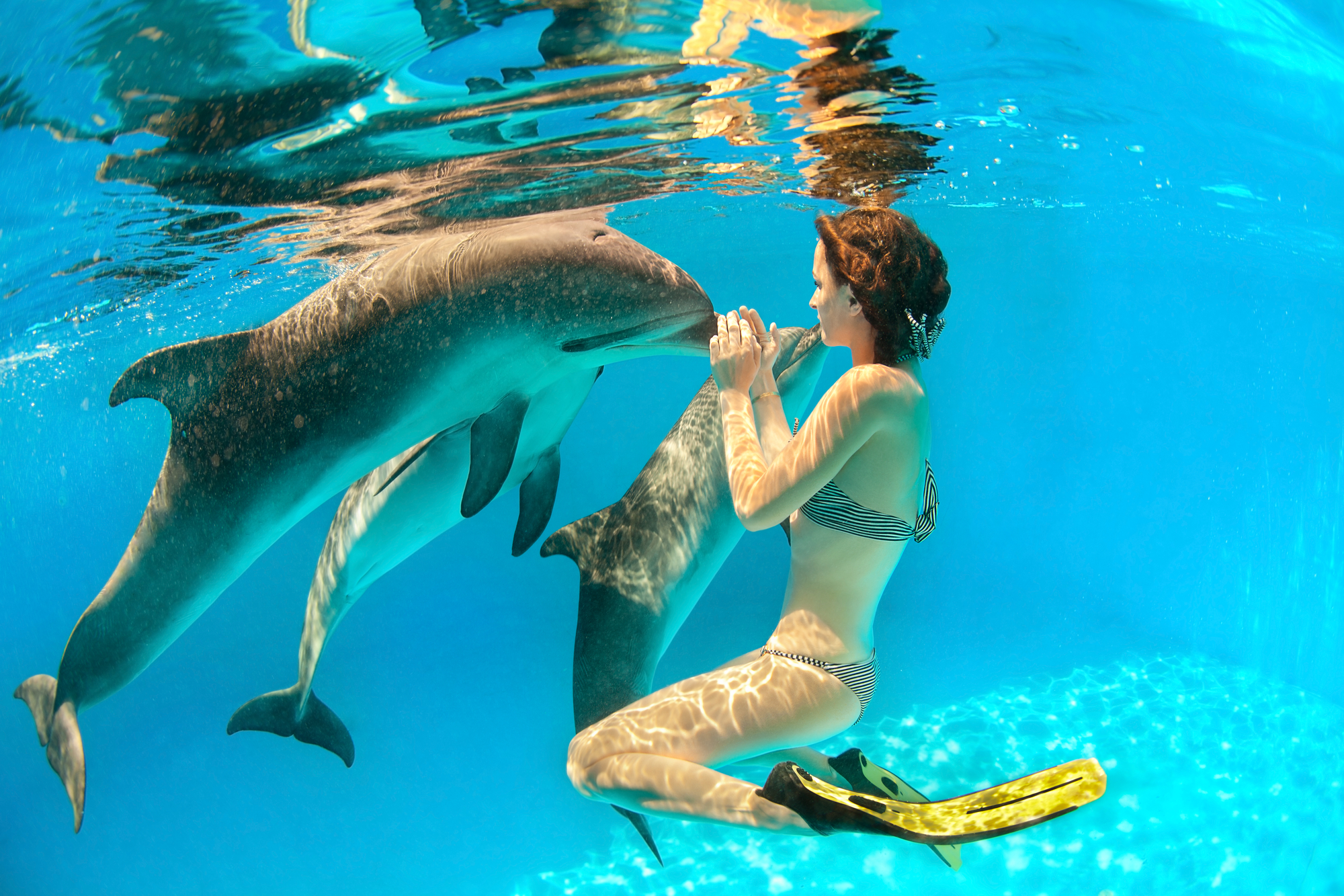 Dolphin and girl punta cana things to do
