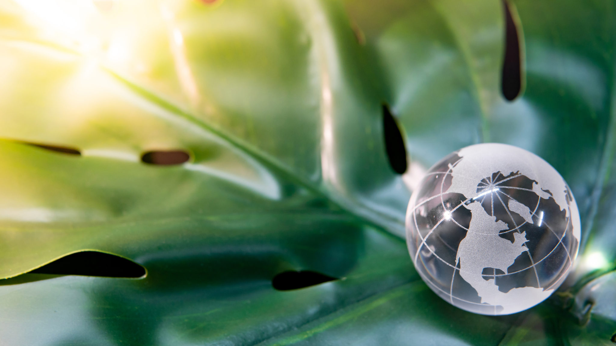World globe crystal glass on green leaf World globe cystal glass on green lush leaf.