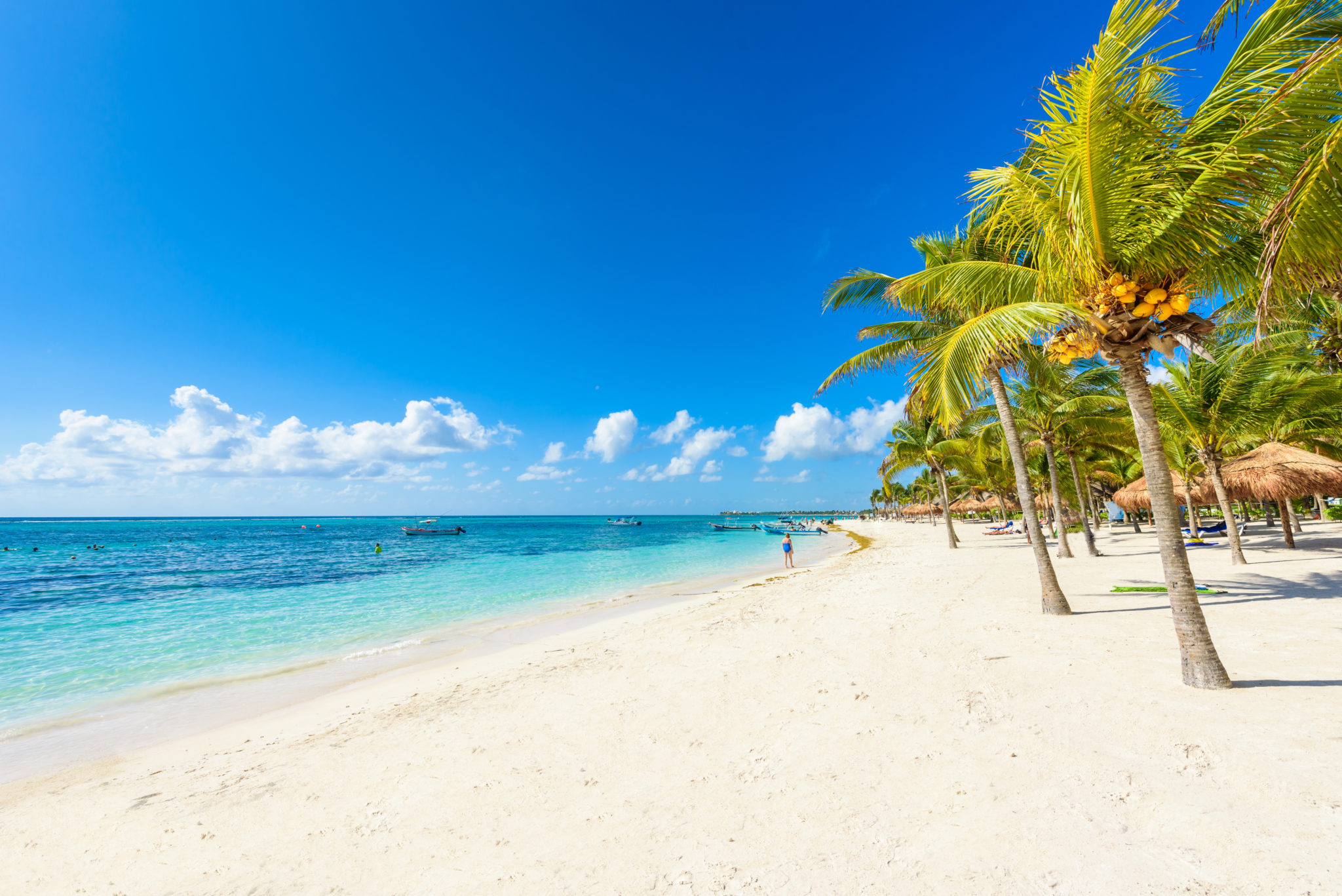Akumal Beach in Quintana Roo, Mexico